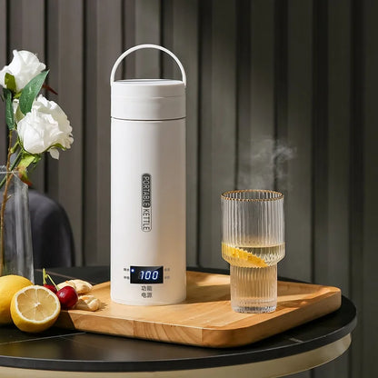 Draagbare Elektrische Waterkoker 500 ML